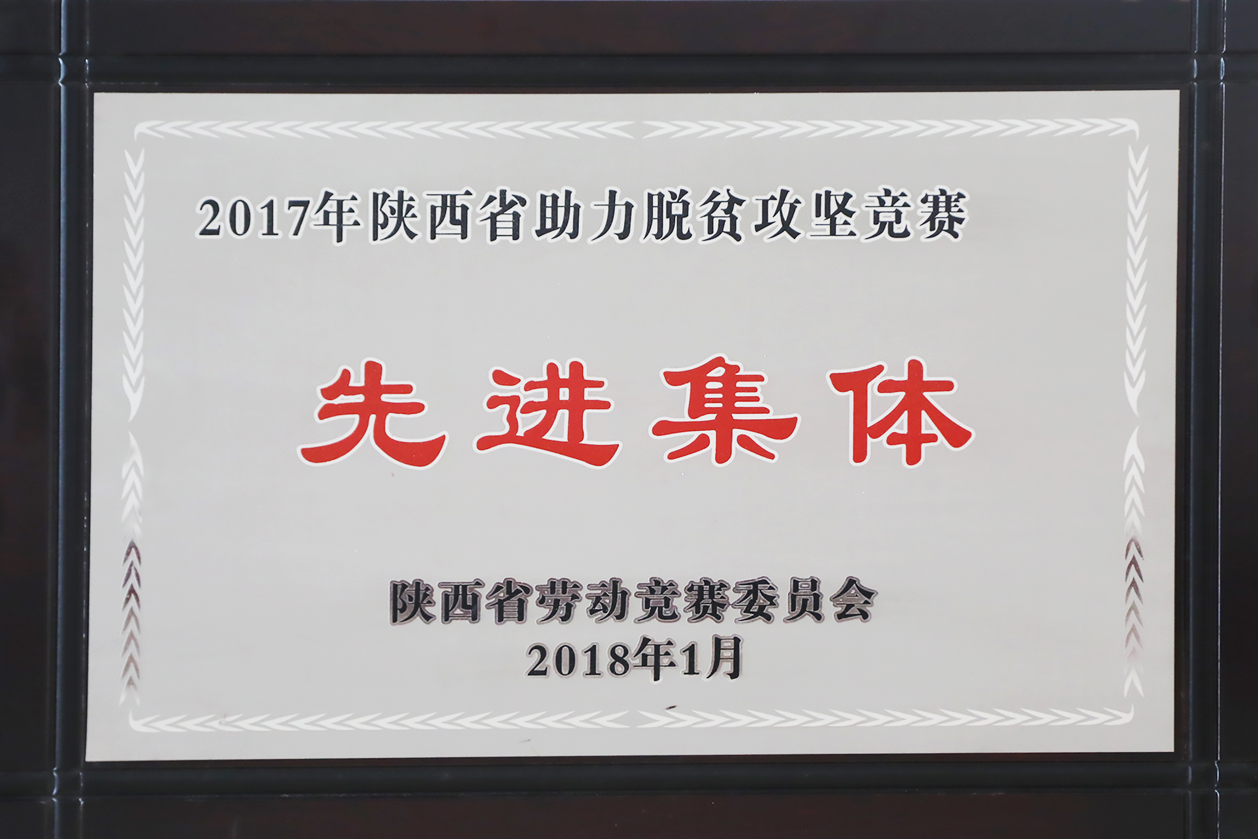 2018.1-2017年陕西省助力脱贫攻坚竞赛先进集体.JPG